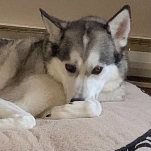 Meet your Posher, Daniele